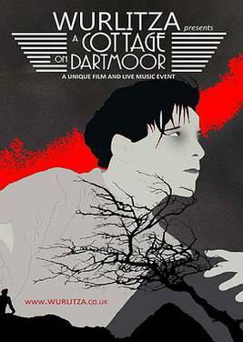 达特穆尔的小屋