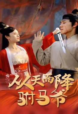 从天而降驸马爷