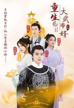 重生之大武帝婿