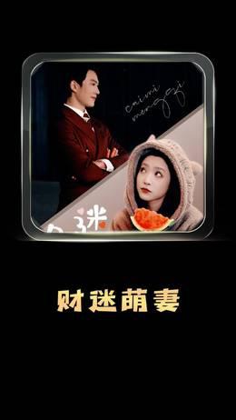 财迷萌妻
