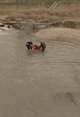 我在80年代撩首富