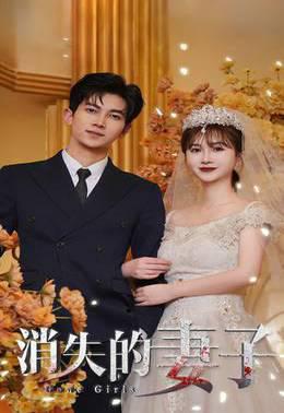 新：消失的妻子