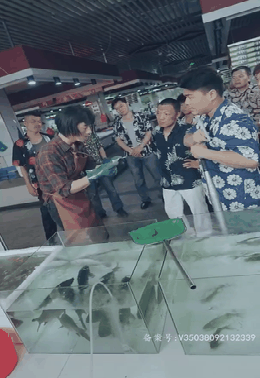 最新版：护国神帅