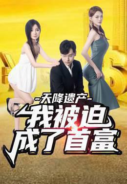 天降遗产，我被迫成了首富