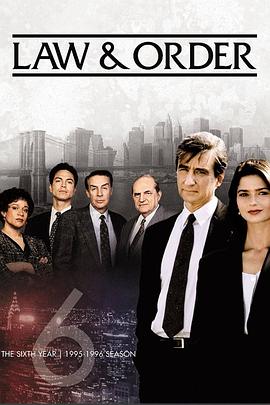 法律与秩序第六季